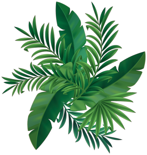 hojas tropicales